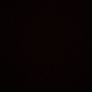 Meet your Posher, Tori